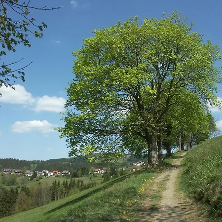 In Im Harz Sankt Andreasberg