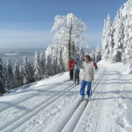 In Im Harz Apartman Sankt Andreasberg